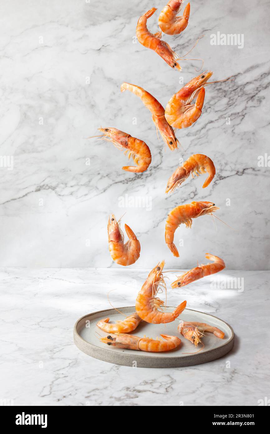 Flying food. Seafood shrimps prawns fly over gray plate, Marbled background Stock Photo