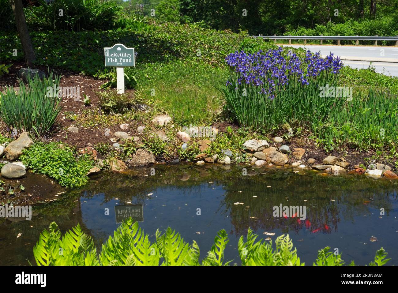 A koi pond and garden nestles between buildings and in view of a