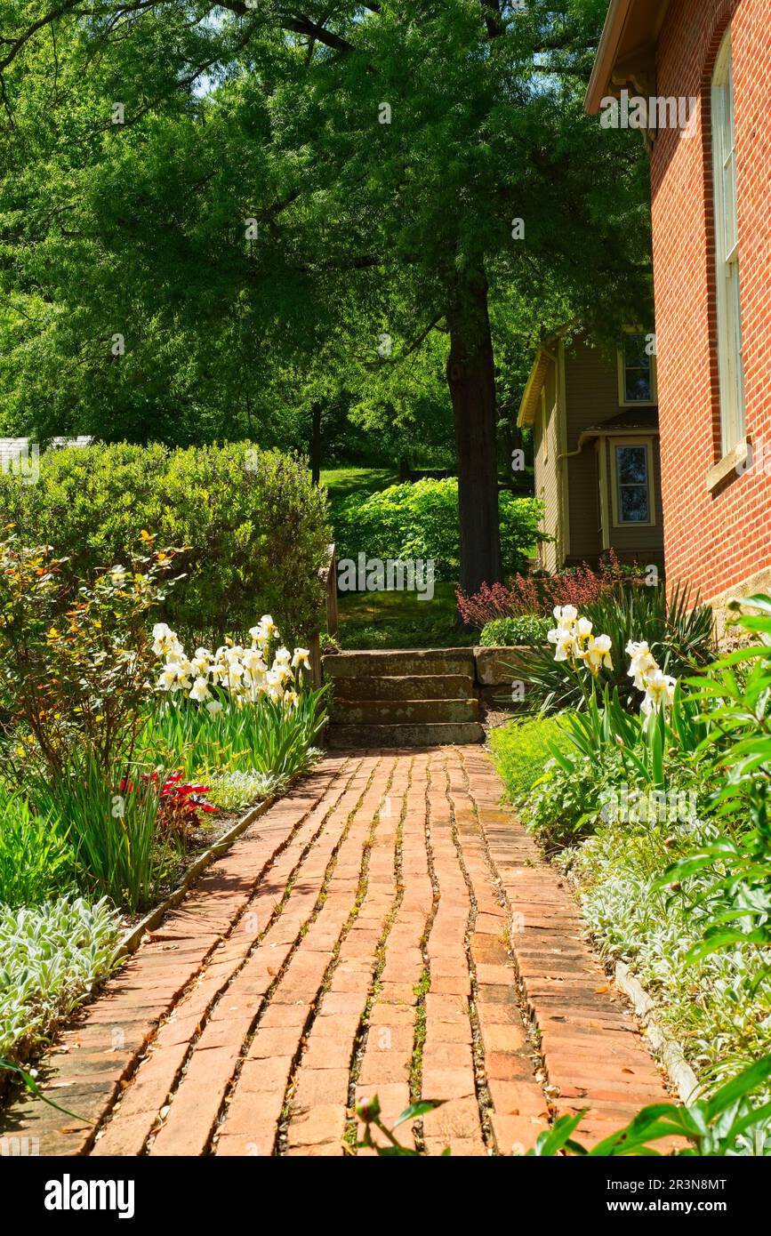 An old brick walkway runs through a bright and colorful garden beside an old house in historic Roscoe village. Stock Photo