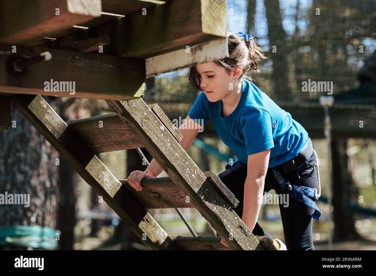 Concentrated preteen girl in casual clothes with hiking belt climbing on wooden stairs of timber platform while spending time in rope park on sunny da Stock Photo
