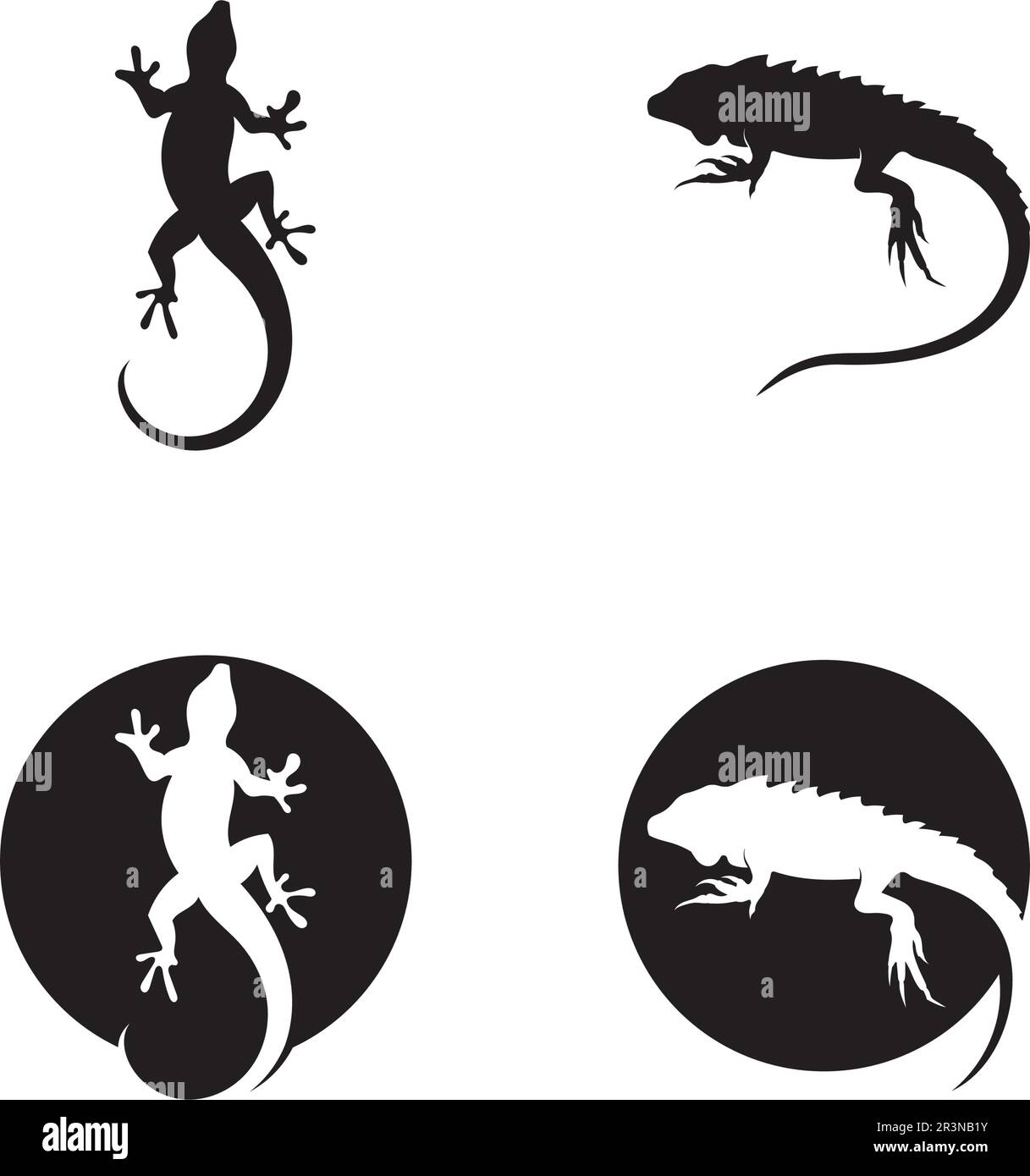 Lizard vector, design, animal, and reptile, gecko Stock Vector