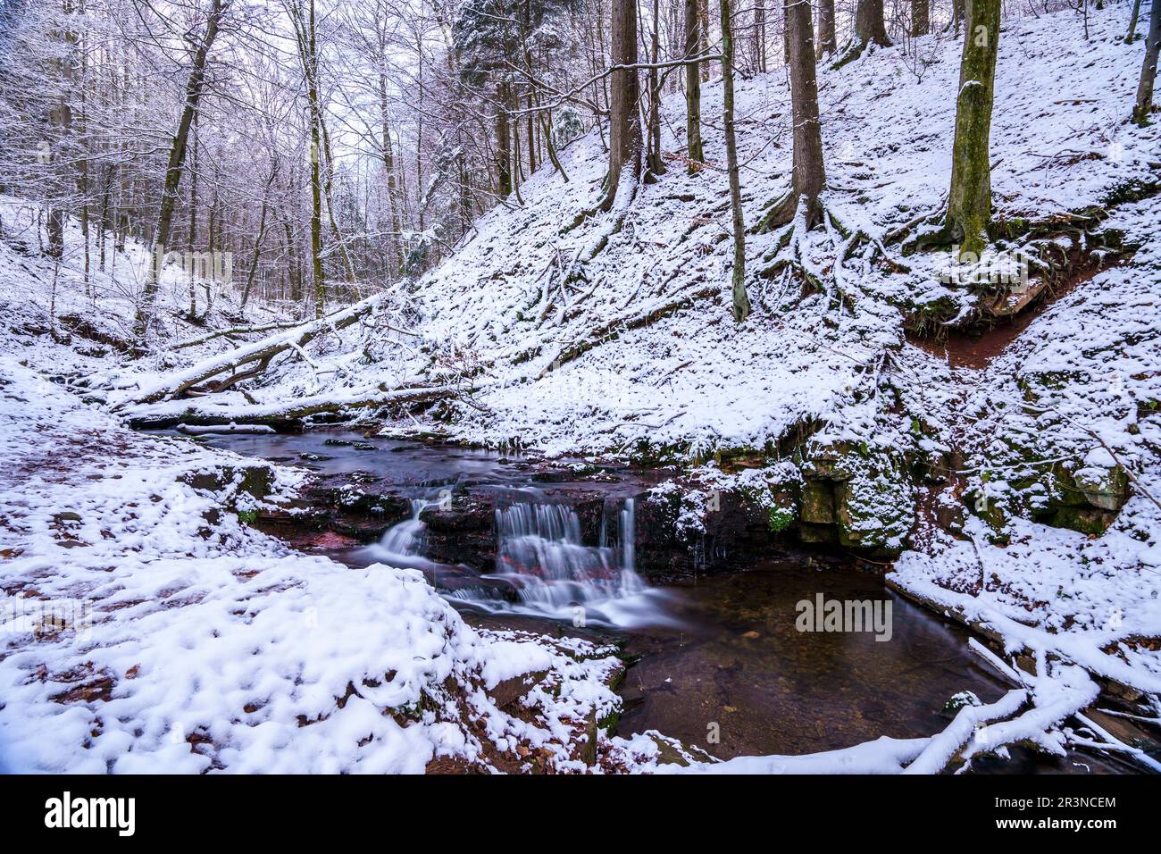 Winter landscape in the RhÃ¶n-Kaskadenschlucht near Sandberg/Gersfeld 1 Stock Photo