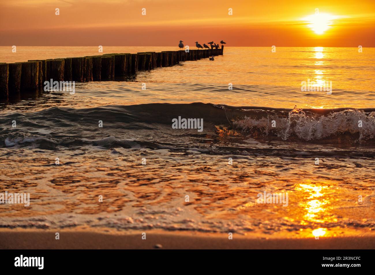 Atmospheric sunset on the Baltic Sea beach DarÃŸ Wustrow Stock Photo ...