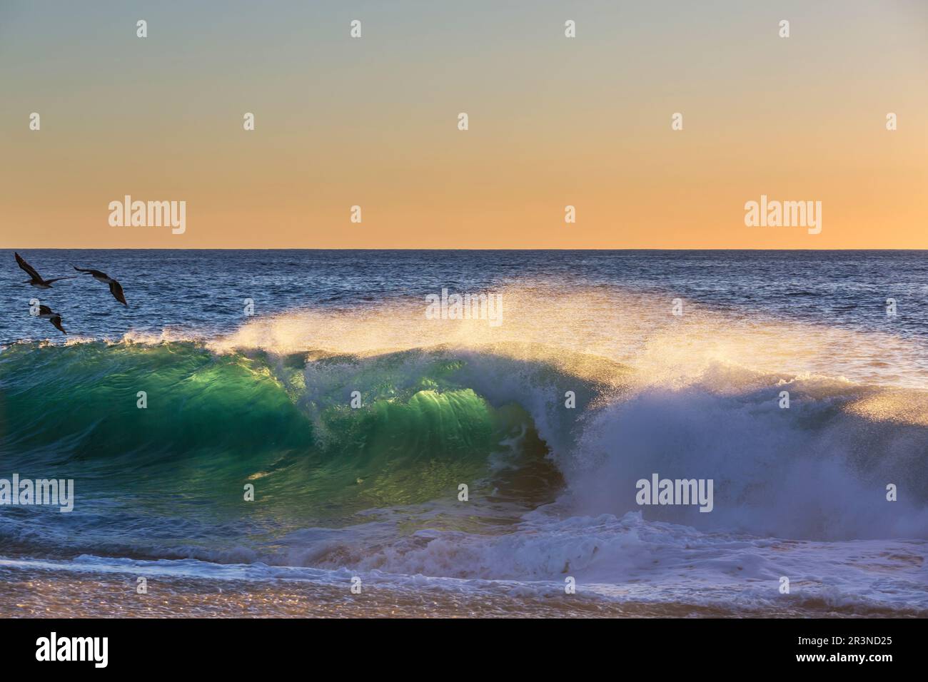 Wave Stock Photo