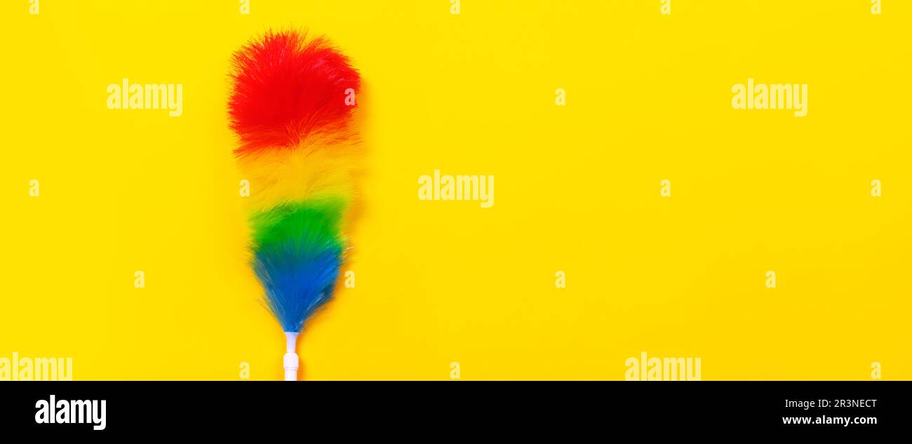 Feather duster Stock Photo