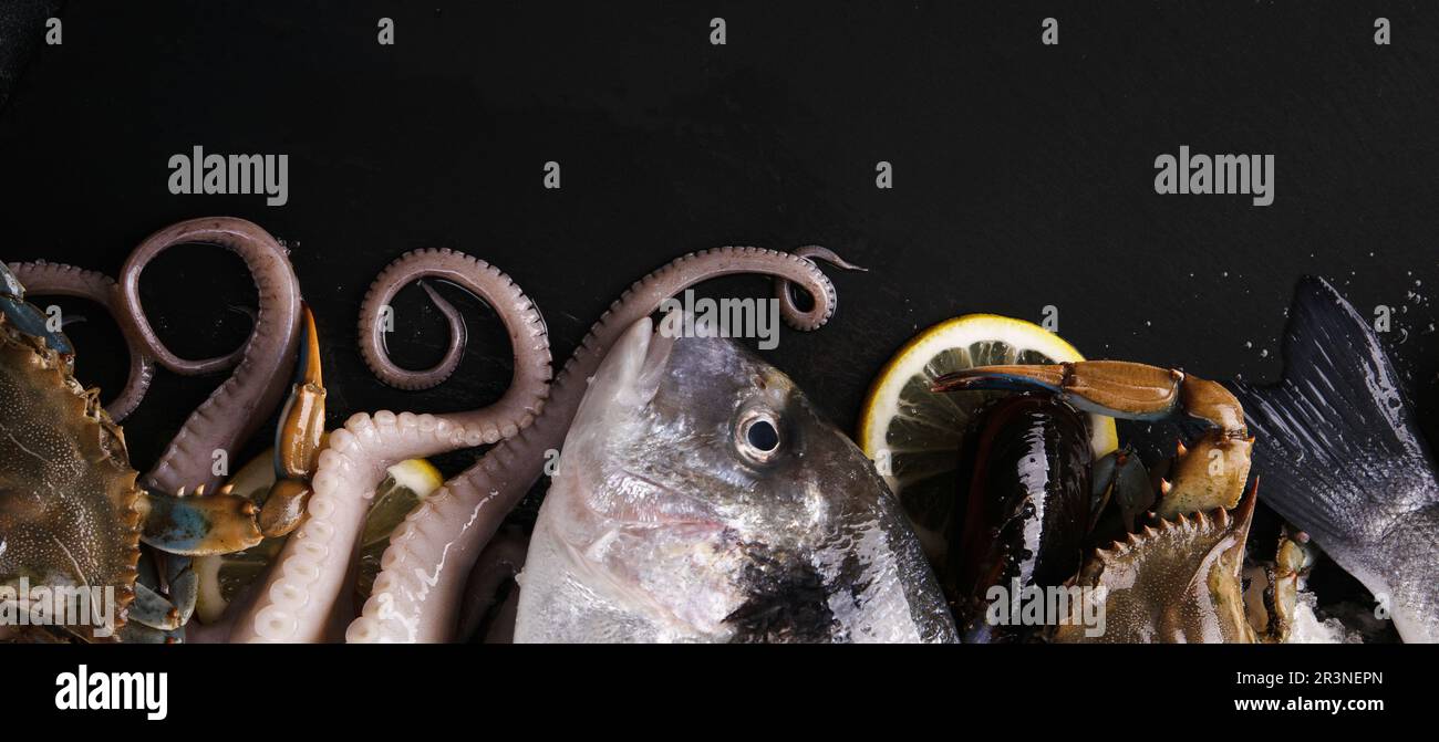 Fresh fish and seafood panoramic Stock Photo - Alamy