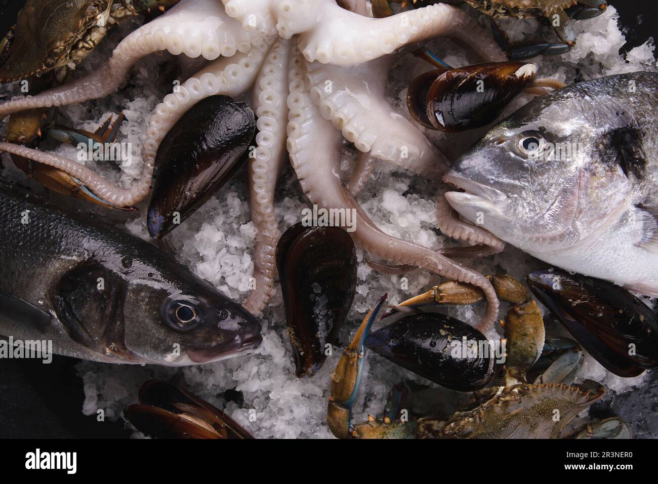 Frozen Fish And Seafood