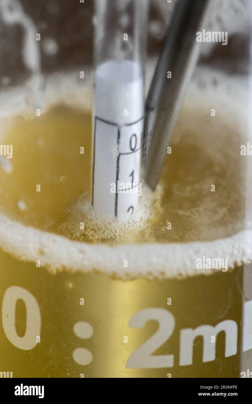 Nach Hause brauen von Bier - wesentliche Instrumente, Thermometer und  Hygrometer zur Messung der Alkoholgehalt Stockfotografie - Alamy