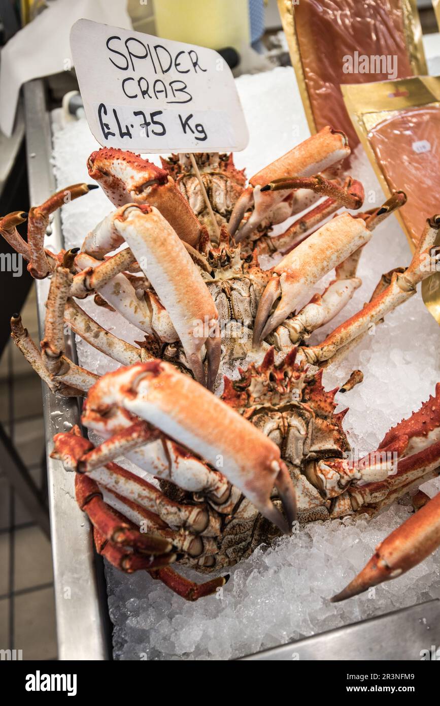 Spider Crab for sale at Jersey Beresford Street Fish Market Stock Photo