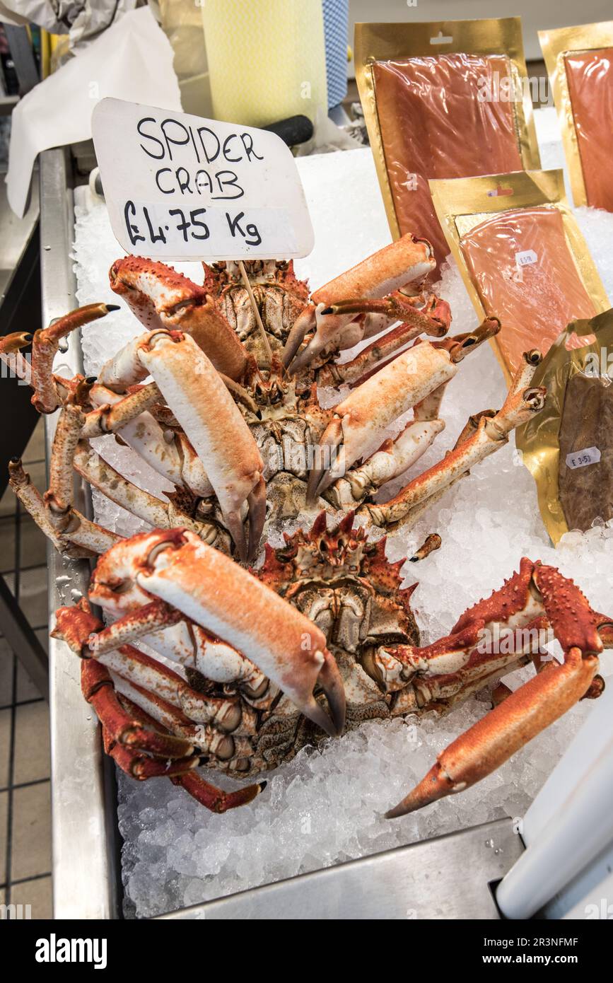 Spider Crab for sale at Jersey Beresford Street fish Market Stock Photo