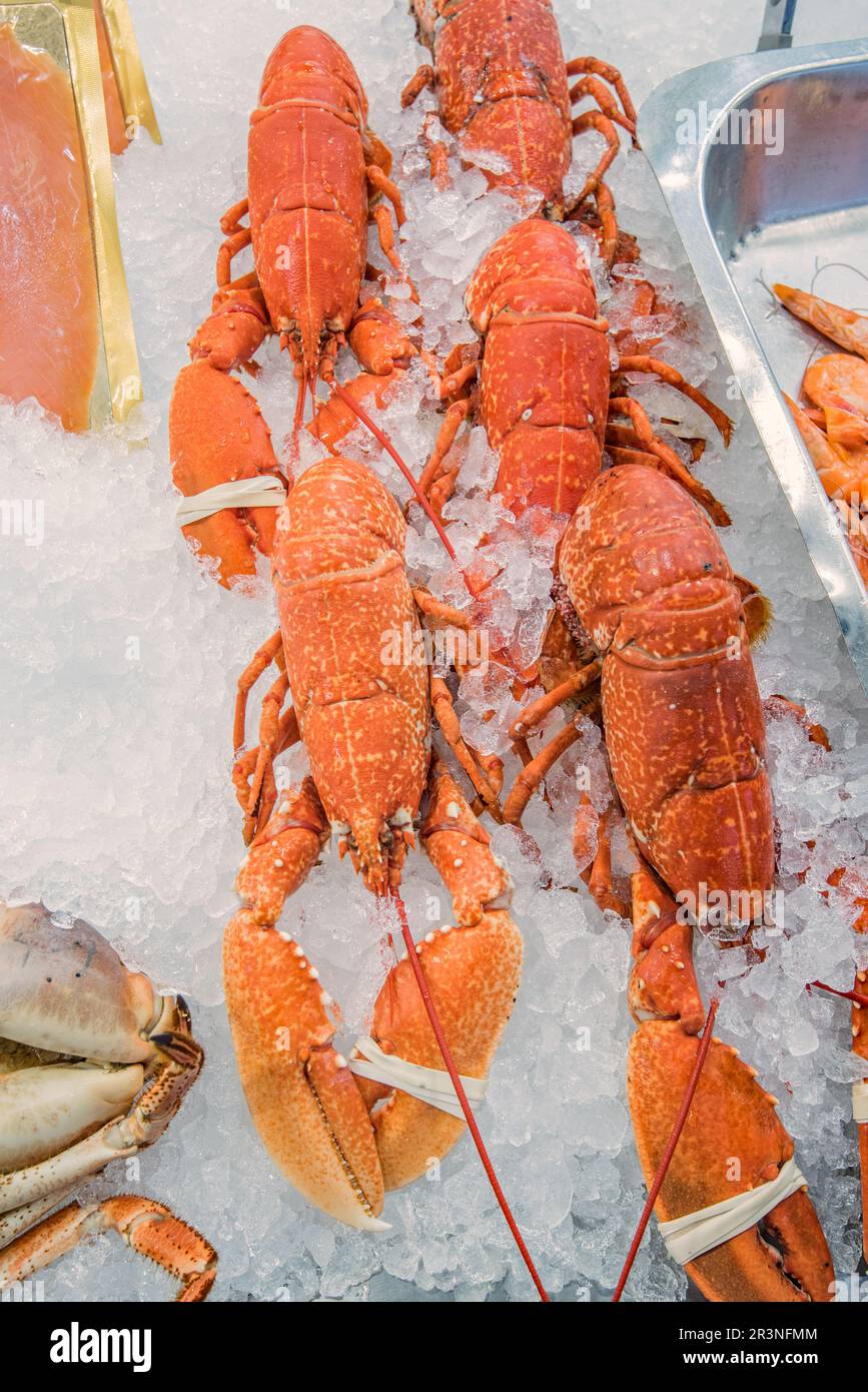 Jersey beresford street market hires stock photography and images Alamy