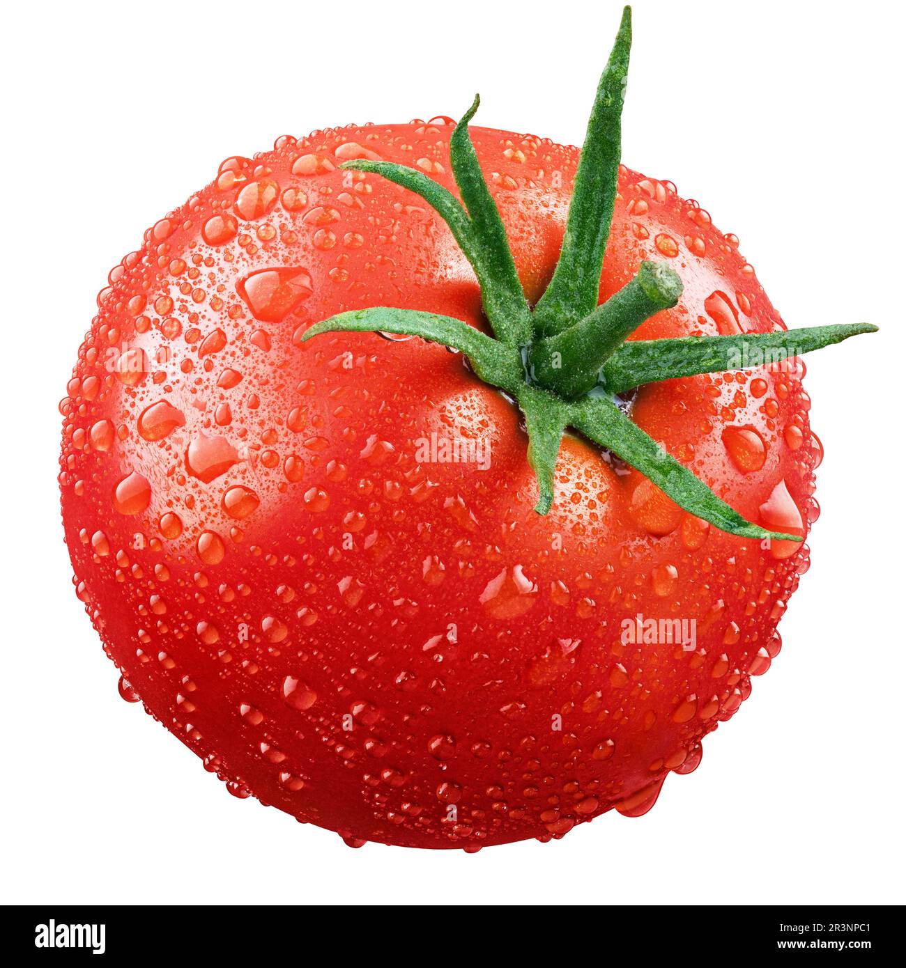 Wet red tomatoes isolated on white background with clipping path. Fresh ...