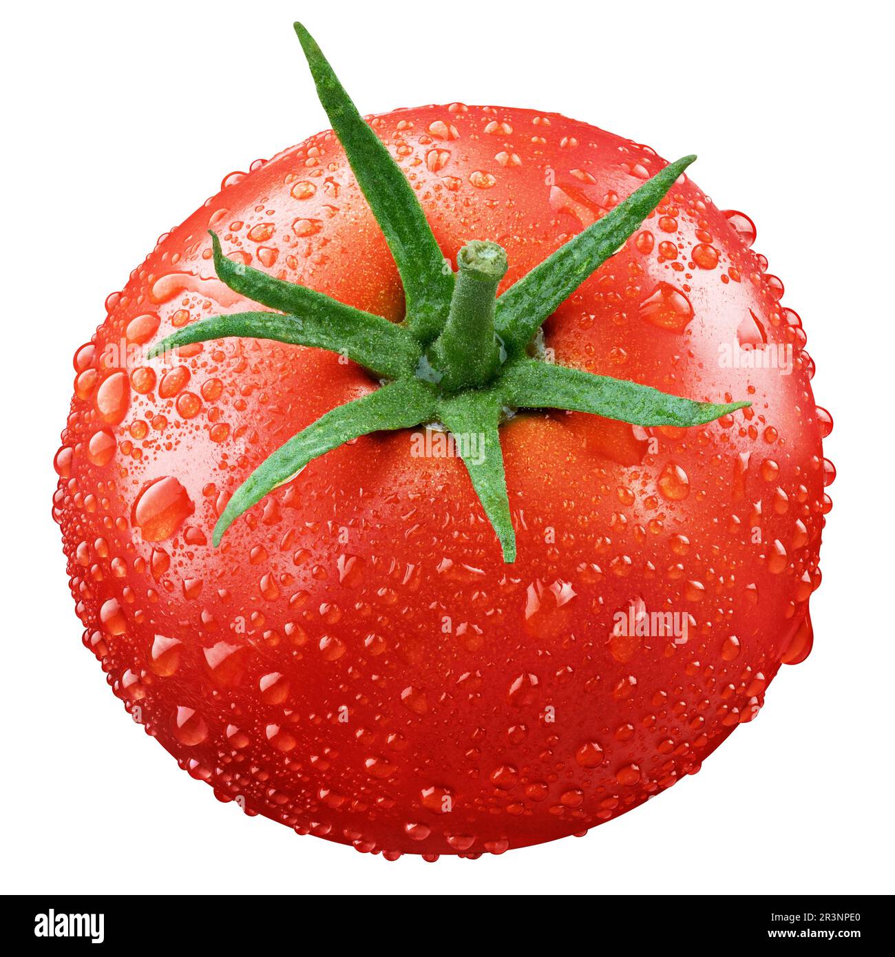 Wet red tomatoes isolated on white background with clipping path. Fresh tomato with drops. Full Depth of Field Stock Photo