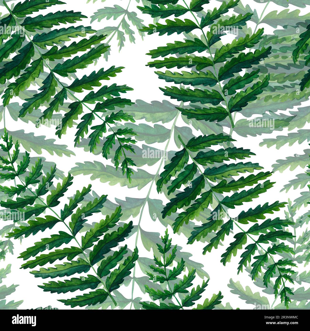 Seamless pattern fern watercolor hand painted illustration in green colors, greenery branch, twig, stem, forest plant isolated on white background for Stock Photo