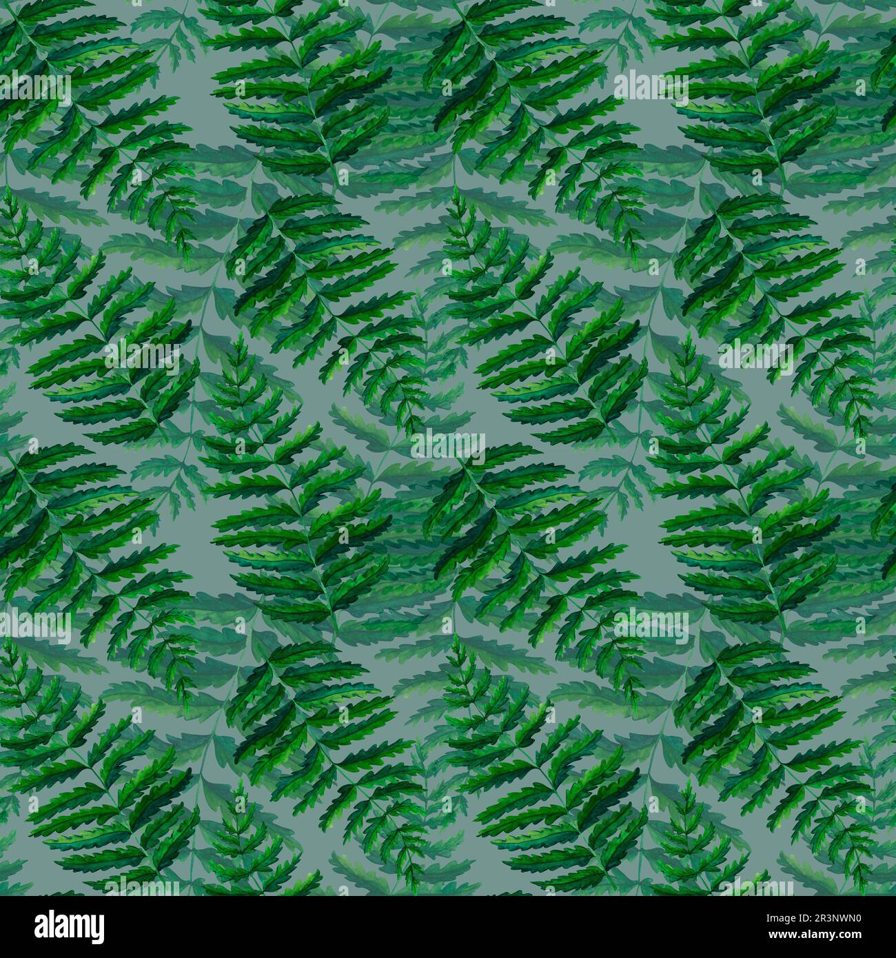 Seamless pattern fern watercolor hand painted illustration in green colors, greenery branch, twig, stem, forest plant isolated on grey background for Stock Photo