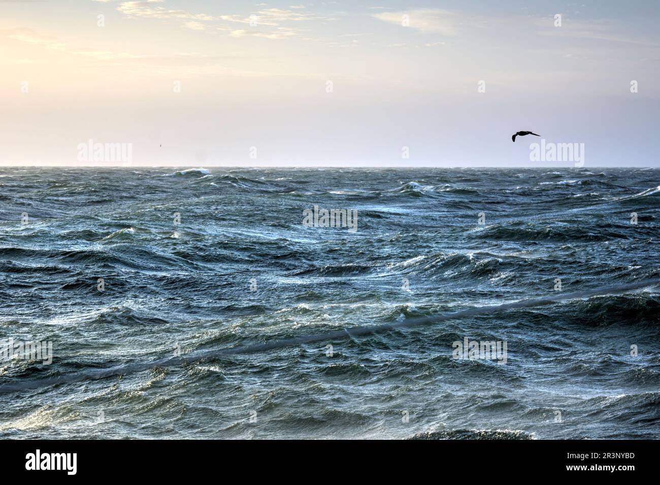 Stormy sea in Drake's passage Stock Photo