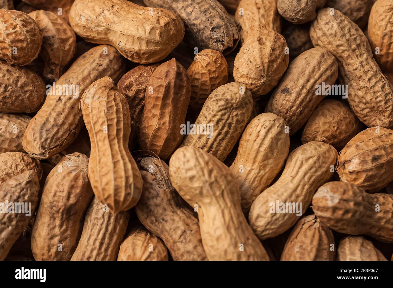 Peanuts from above with shell Stock Photo