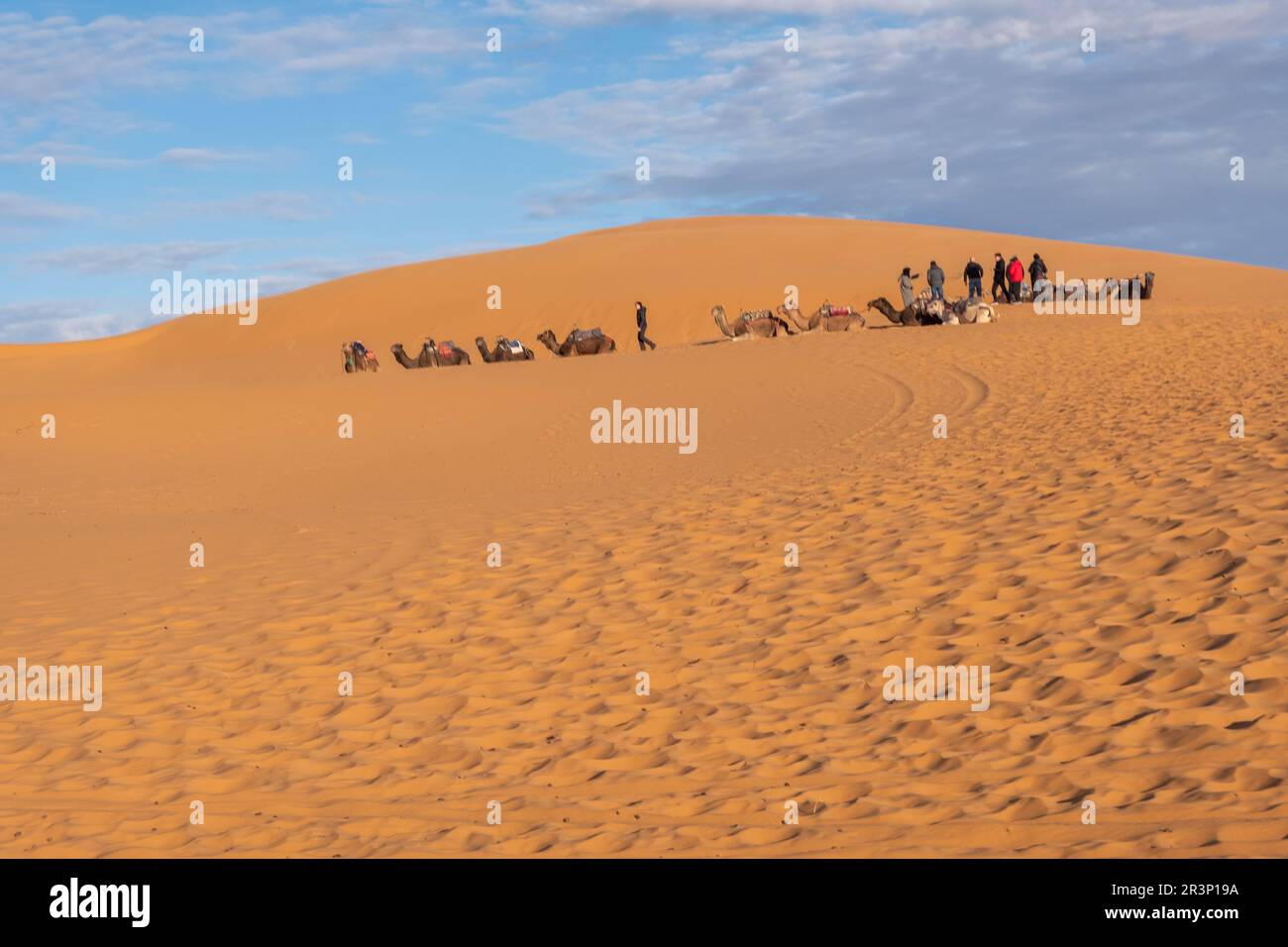 Beautiful sand dunes in the Sahara desert Stock Photo - Alamy