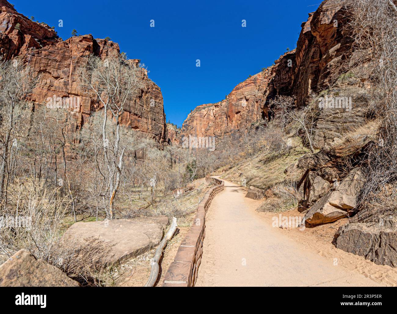 Impression from hiking trail to Pine Creek Canyon overlook in the Zion ...