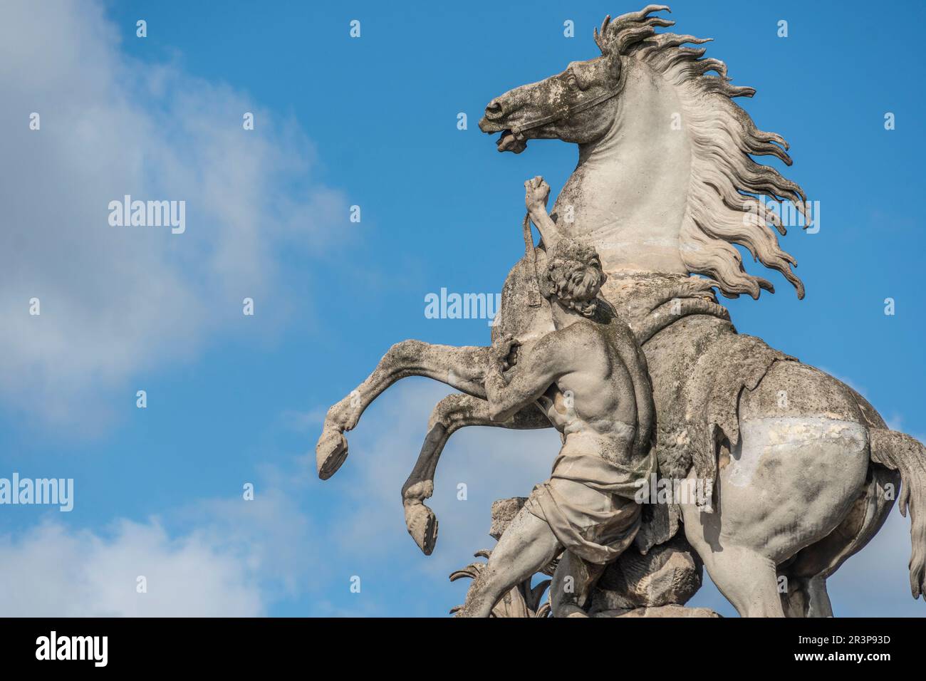 Marly horse hi-res stock photography and images - Alamy