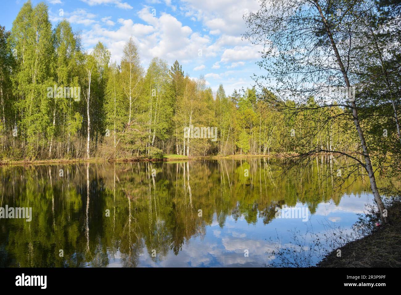On the forest river in the Meshchersky National Park. Spring, a water ...