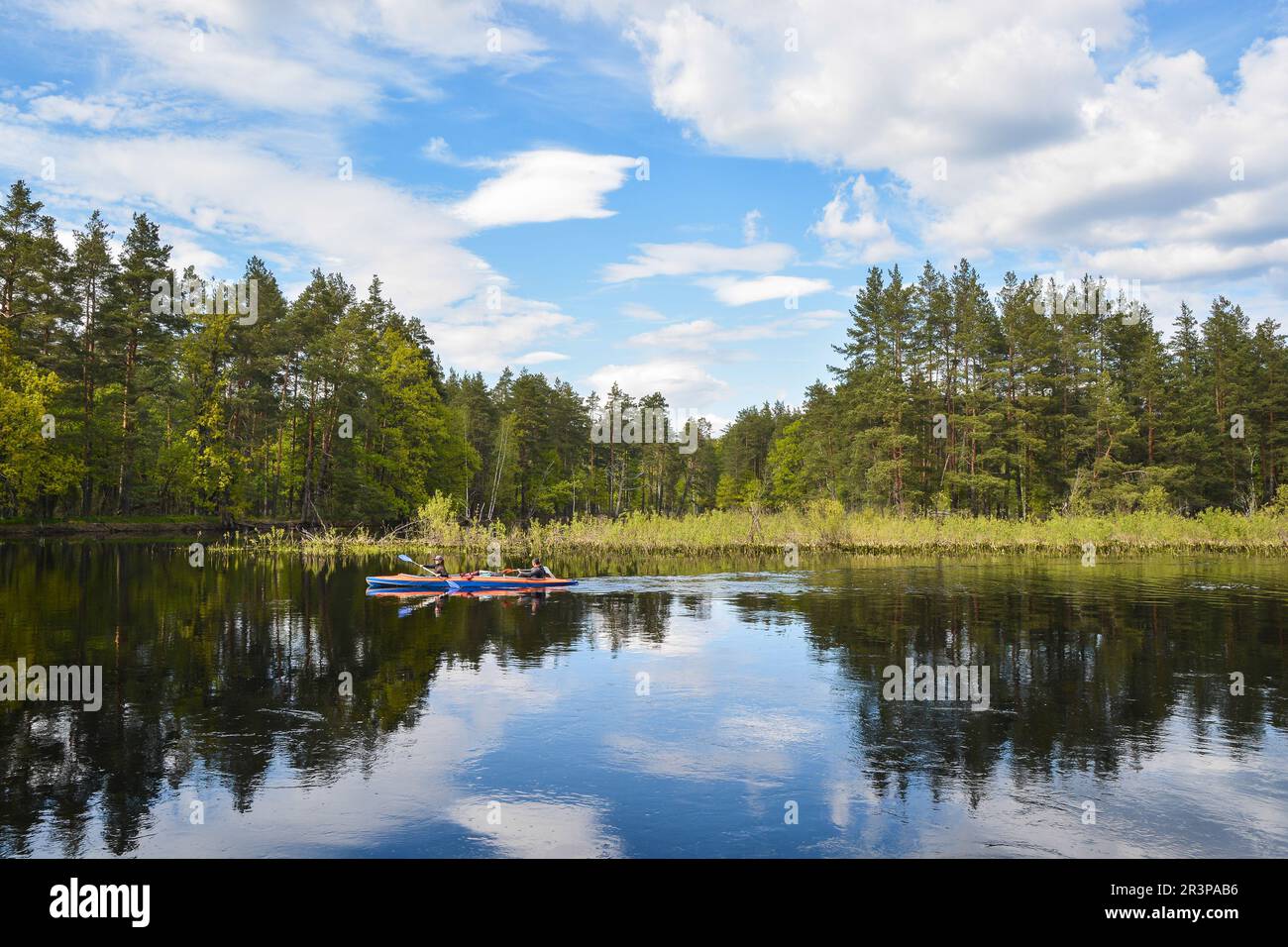 On the forest river in the Meshchersky National Park. Spring, a water ...