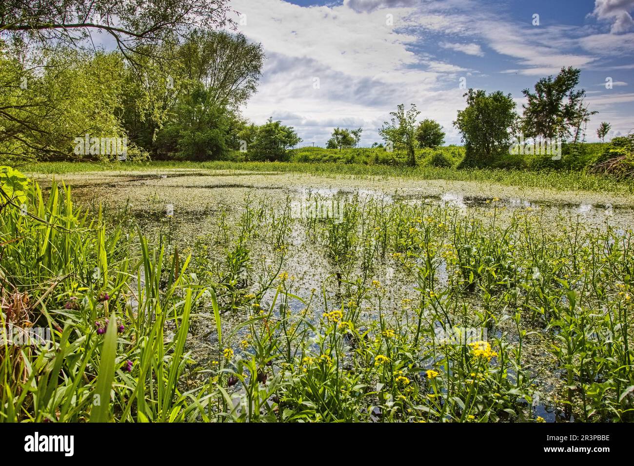 Alluvium hi-res stock photography and images - Alamy