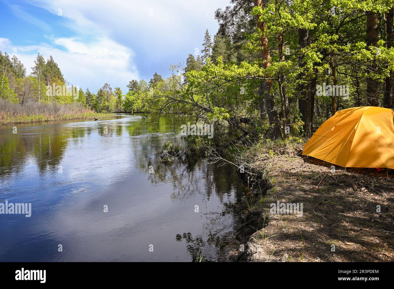 On the forest river in the Meshchersky National Park. Spring, a water ...