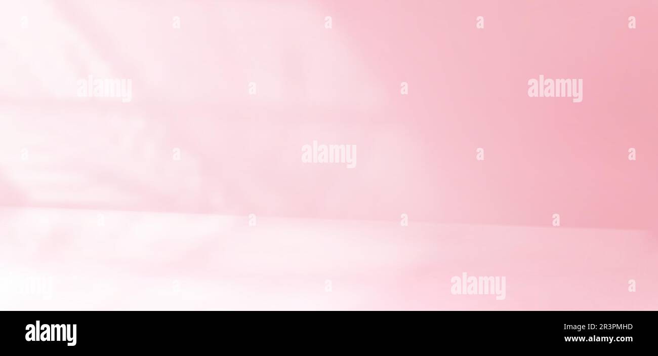 Pinked Perspective 3d pink wall in studio room background with window light. Vector pastel ...