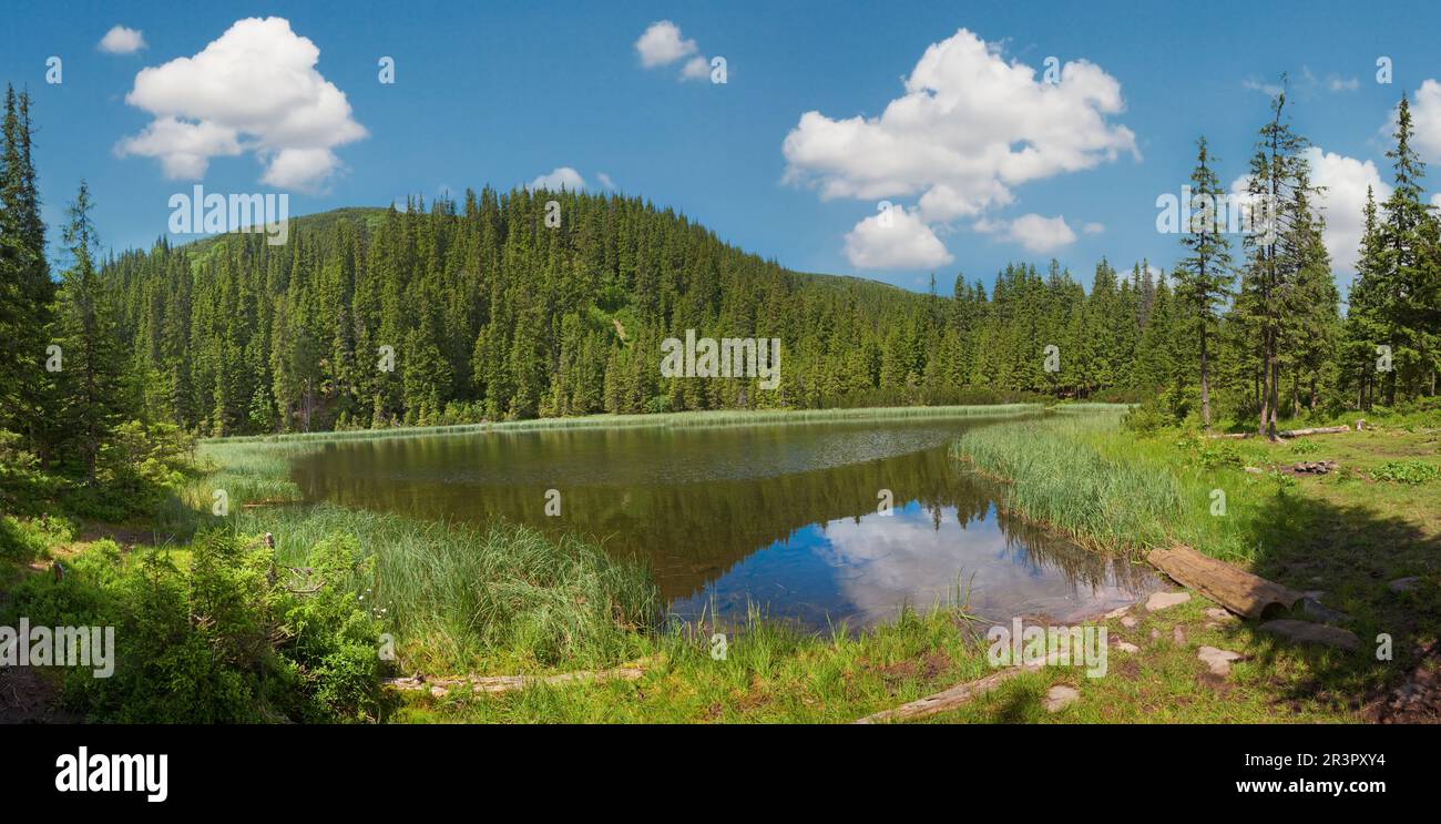 Summer mountain lake Marichejka and fir forest with blue sky reflection in (Ukraine, Chornogora Ridge, Carpathian Mountains). Stock Photo