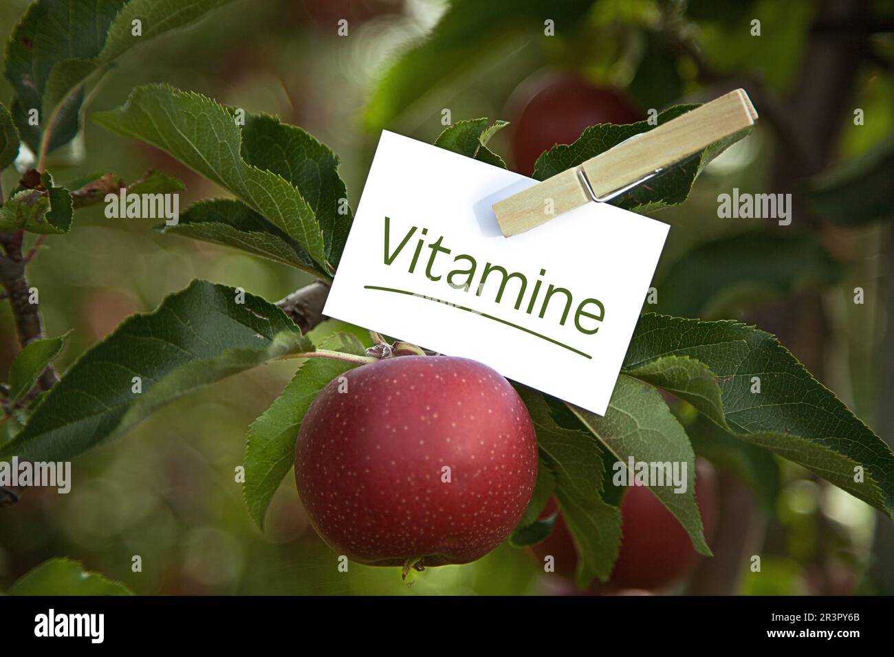 memo sheet at an apple tree lettering Vitamine, vitamins Stock Photo
