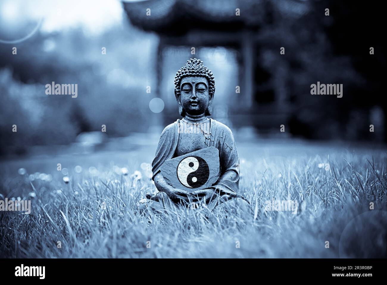 Buddha statue sitting on a meadow with teh ying yang symbol, Taijitu Stock Photo