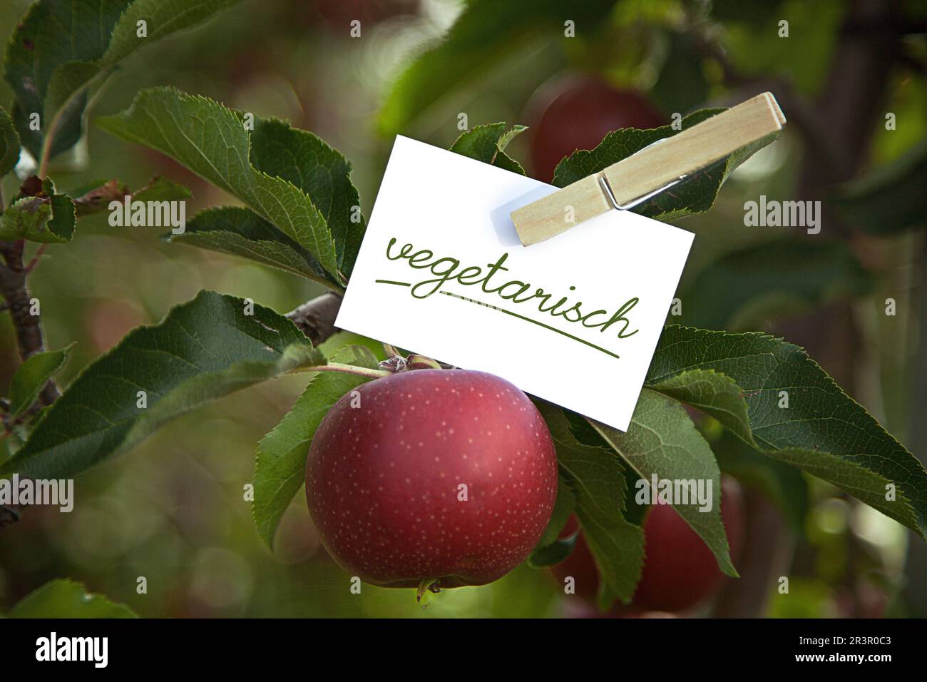 memo sheet at an apple tree lettering vegetarisch, vegetarian Stock Photo