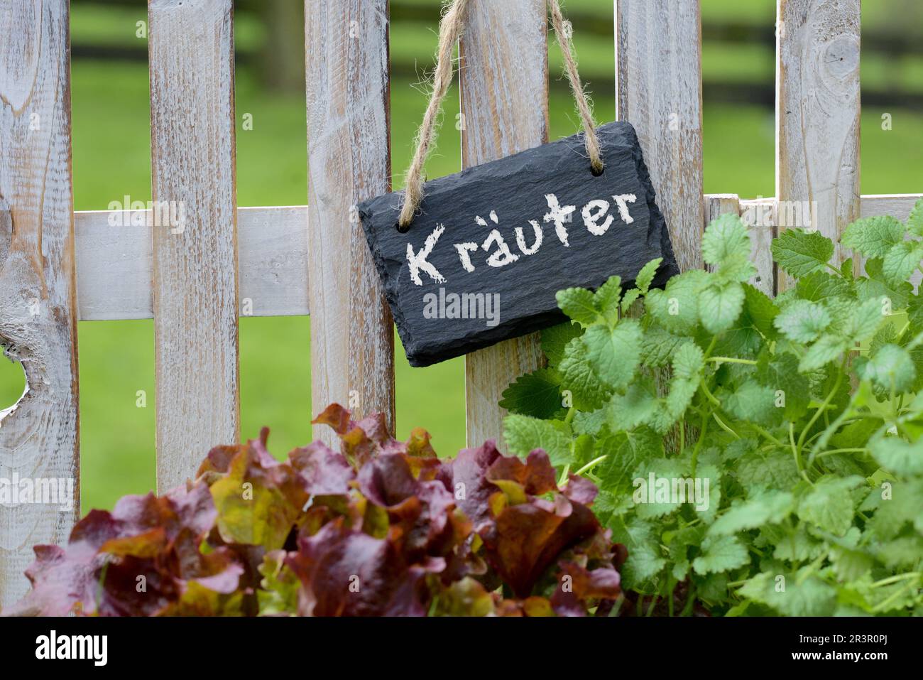 garden fence with black board lettering Kraeuter, herbs Stock Photo