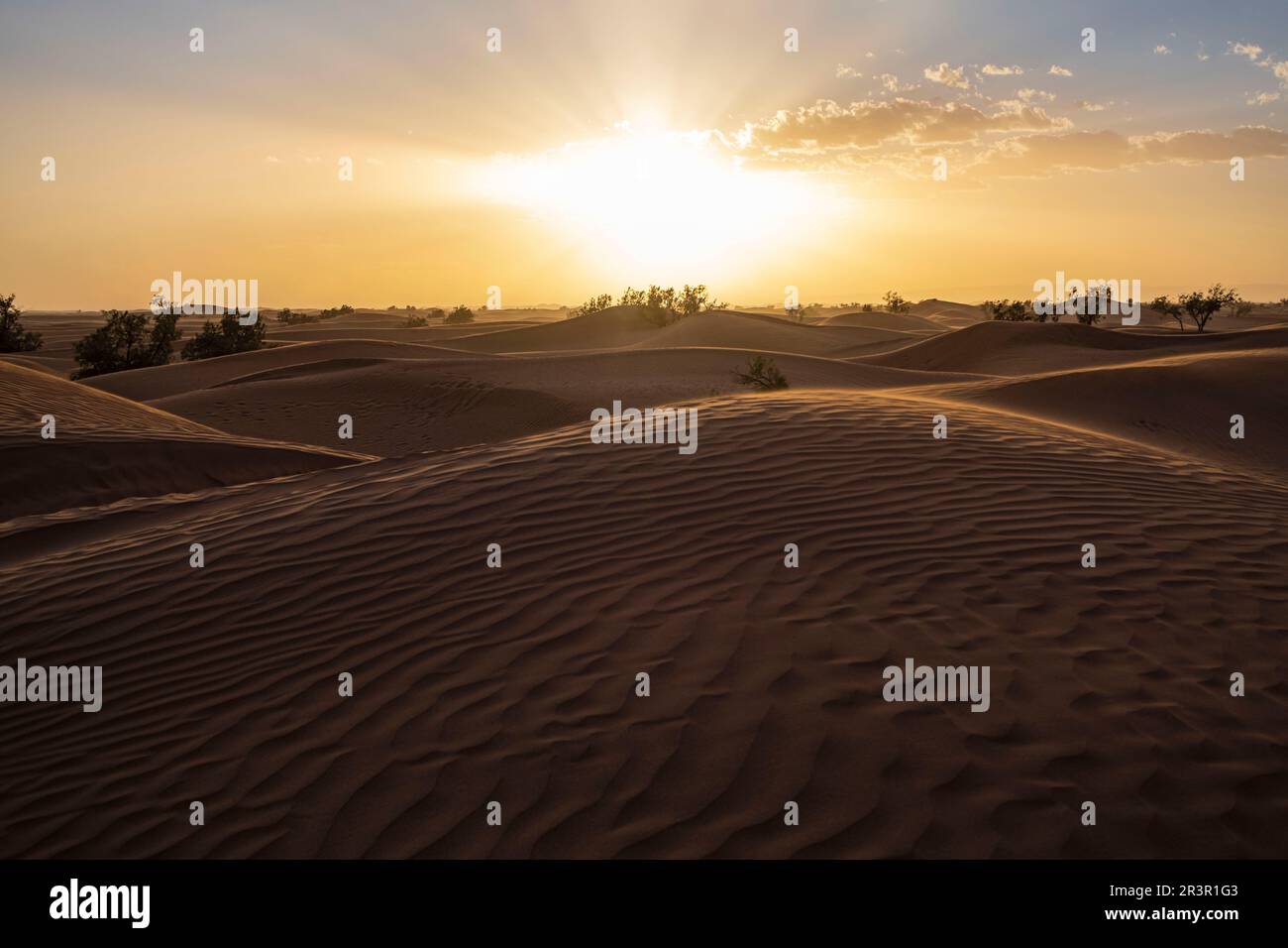 large dunes in M'Hamid, Zagora region, Morocco, Africa. Stock Photo