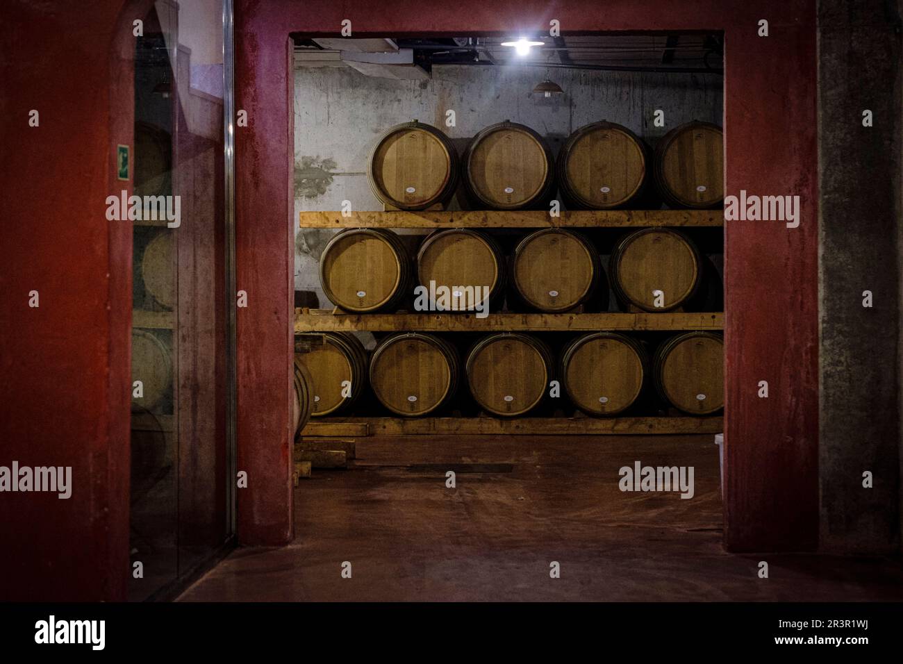 Macià Batle wineries, barrels of aging, Santa Maria del Cami, Mallorca, Balearic Islands, Spain. Stock Photo