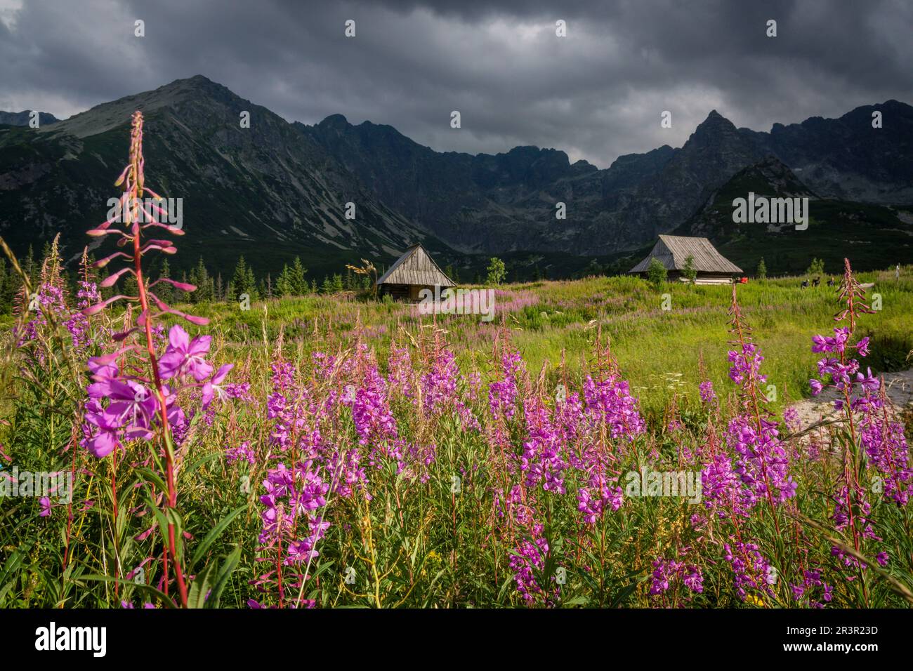 Cabaña, Valle de gasienicowa, parque nacional Tatra, voivodato de la Pequeña Polonia, Carpatos, Polonia, europe. Stock Photo