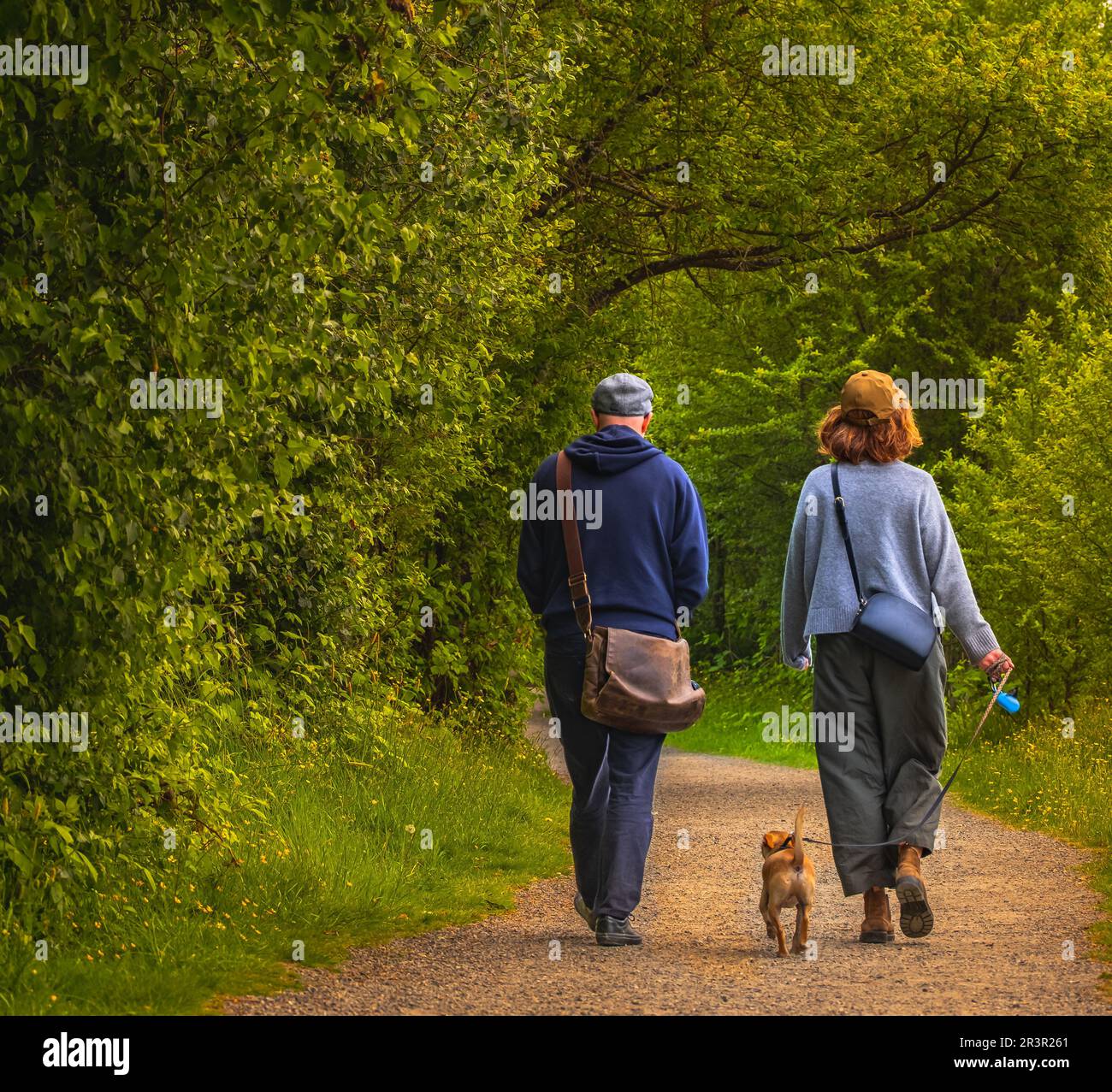 Mature couple is walking with dog in park. Elderly couple resting in nature with dog. Full-length photo of a man and woman on a walk with their dog. S Stock Photo