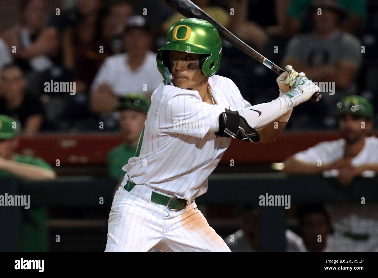 Oregon infielder Rikuu Nishida (56) runs to first base during an NCAA  baseball game against Northwestern State on Friday, March 24, 2023, in  Eugene, Ore. (AP Photo/Amanda Loman Stock Photo - Alamy