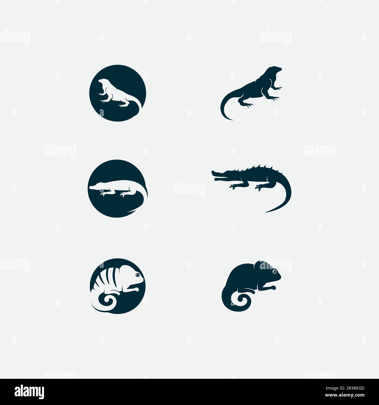 animal vector lizard salamander gecko crocodile and reptiles design ...