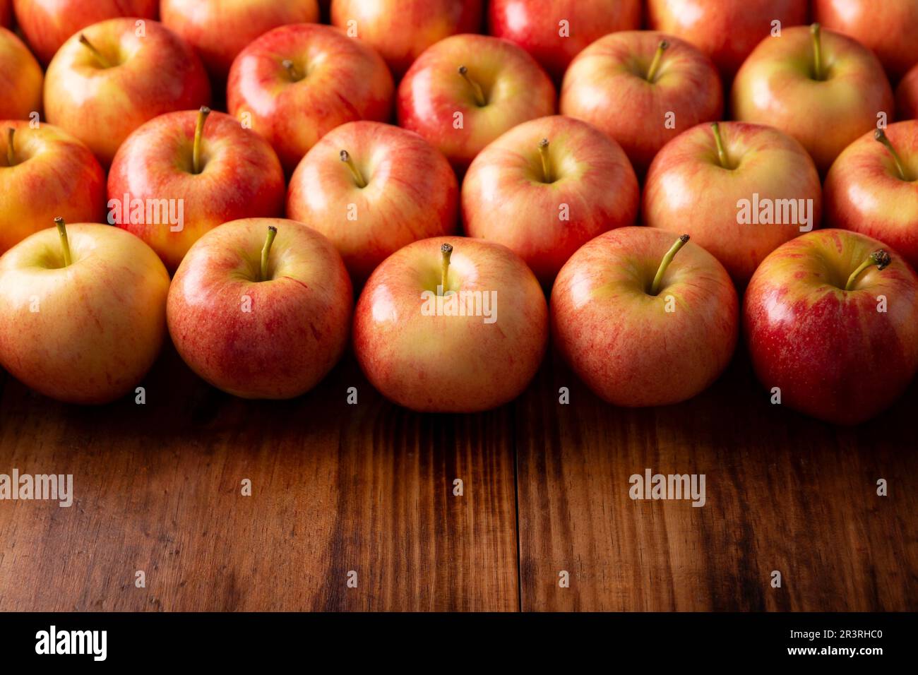 Royal Gala Apples (malus domestica). Apple trees are cultivated