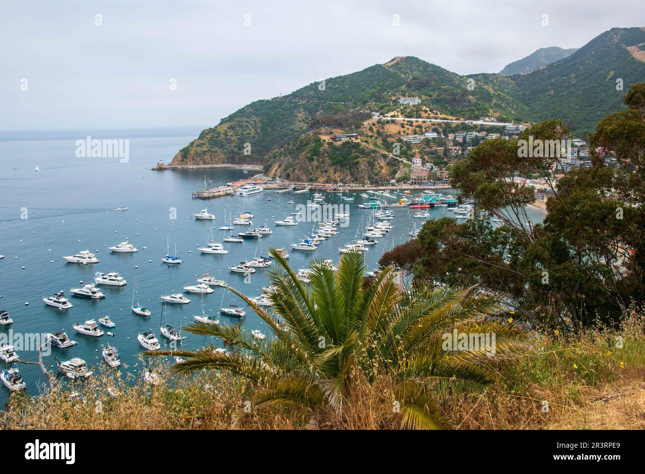 The city of Avalon is the main population center on Catalina Island, CA, USA Stock Photo Alamy