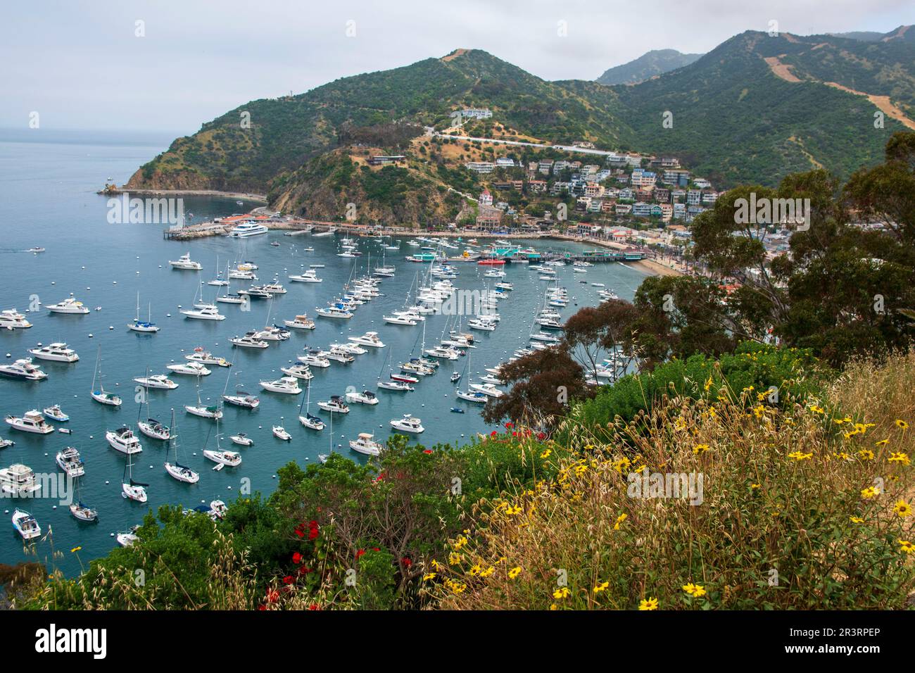 The city of Avalon is the main population center on Catalina Island, CA