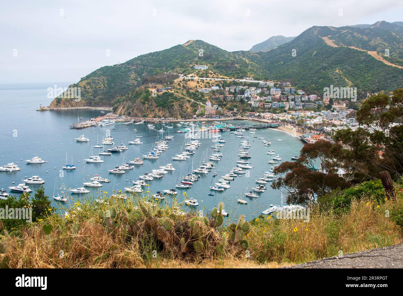 The city of Avalon is the main population center on Catalina Island, CA