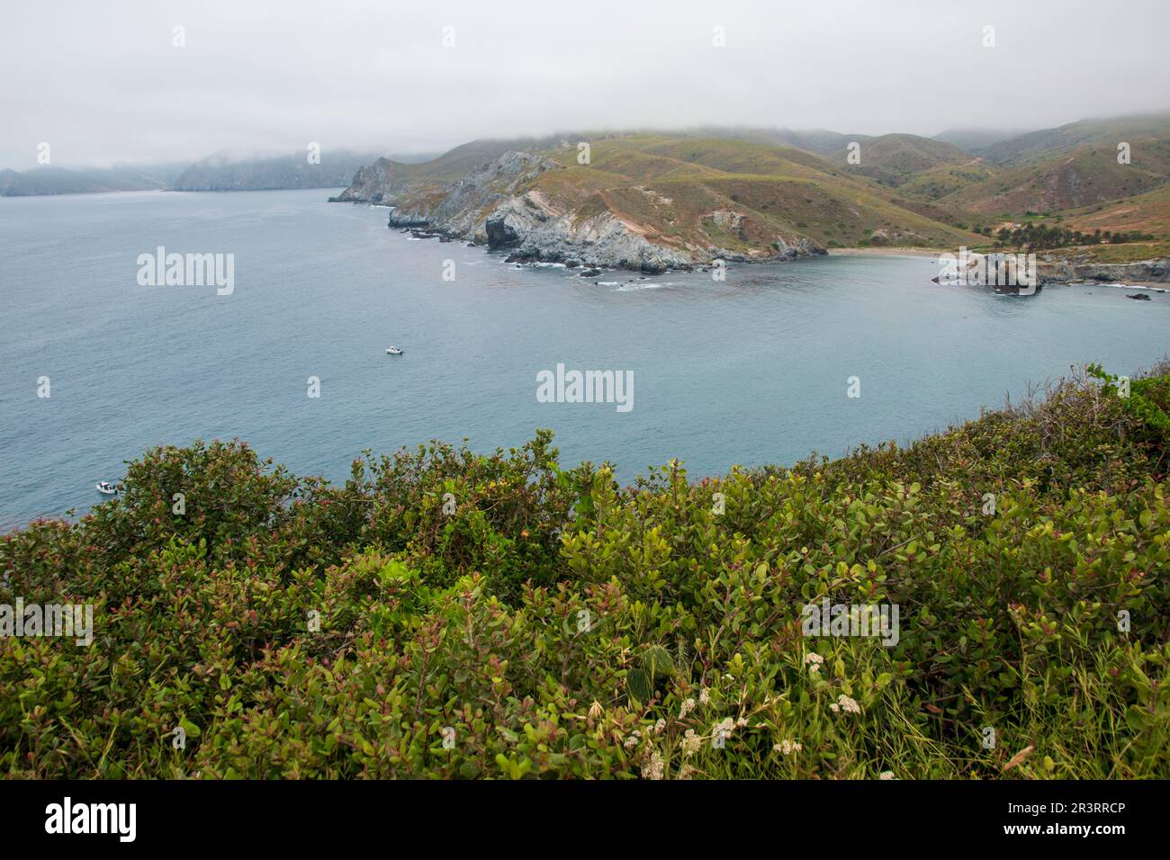 The interior of Catalina Island is well worth an exploratory trip off the coast of southern