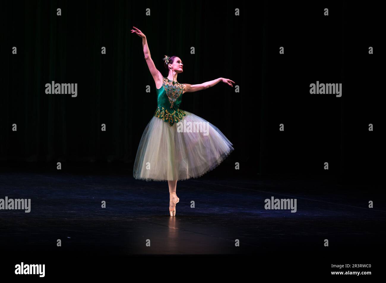 Marion Black Jeweled Ballet
