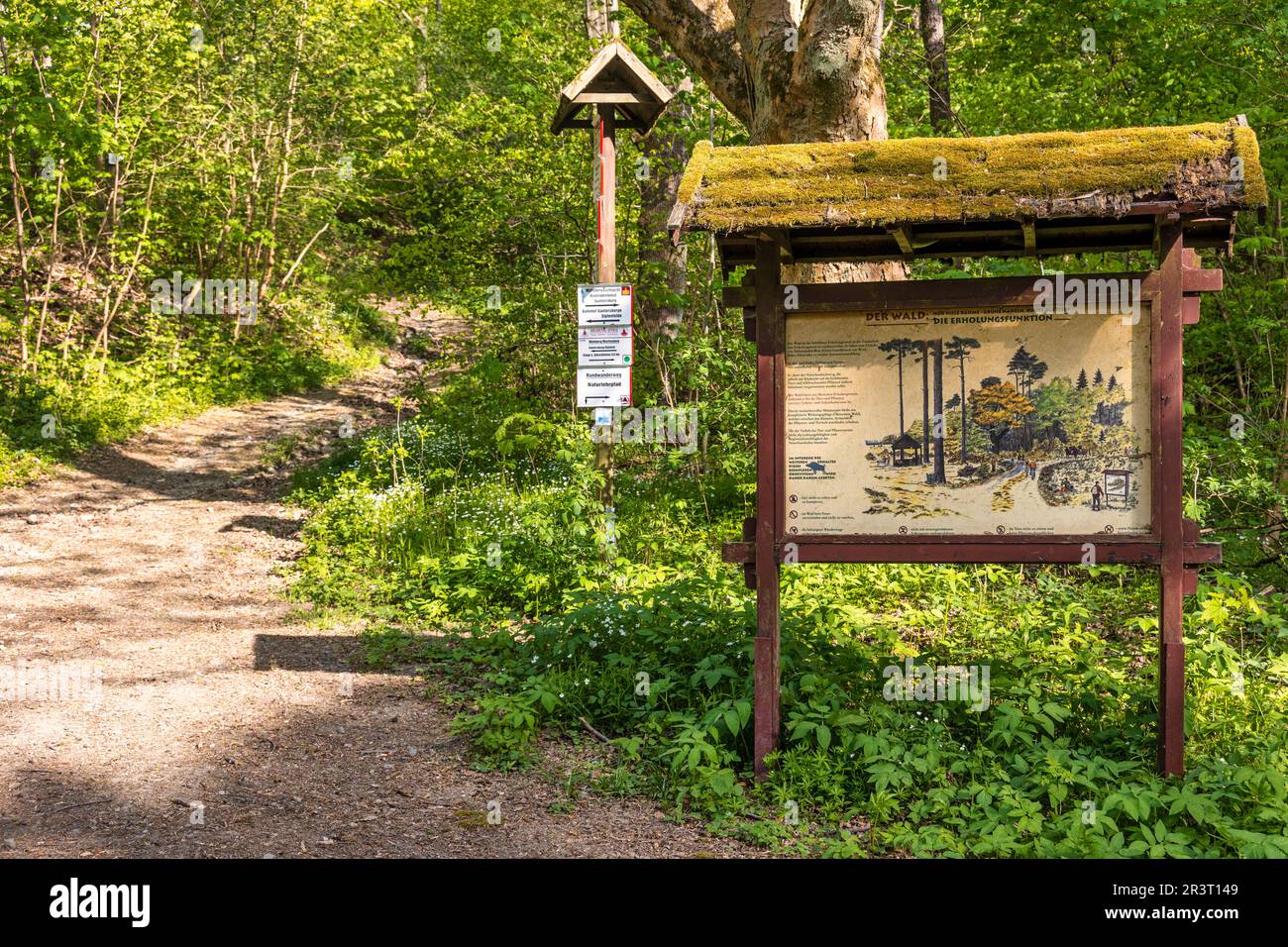 Signposting of the hiking trails in the Selketal Harz Mountains Stock Photo