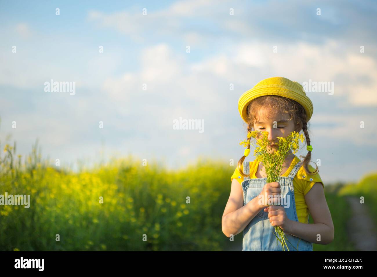 A girl in a yellow summer field sniffs a bouquet of flowers. Sunny day, holidays, allergy to flowering, freedom. Cultivation of Stock Photo