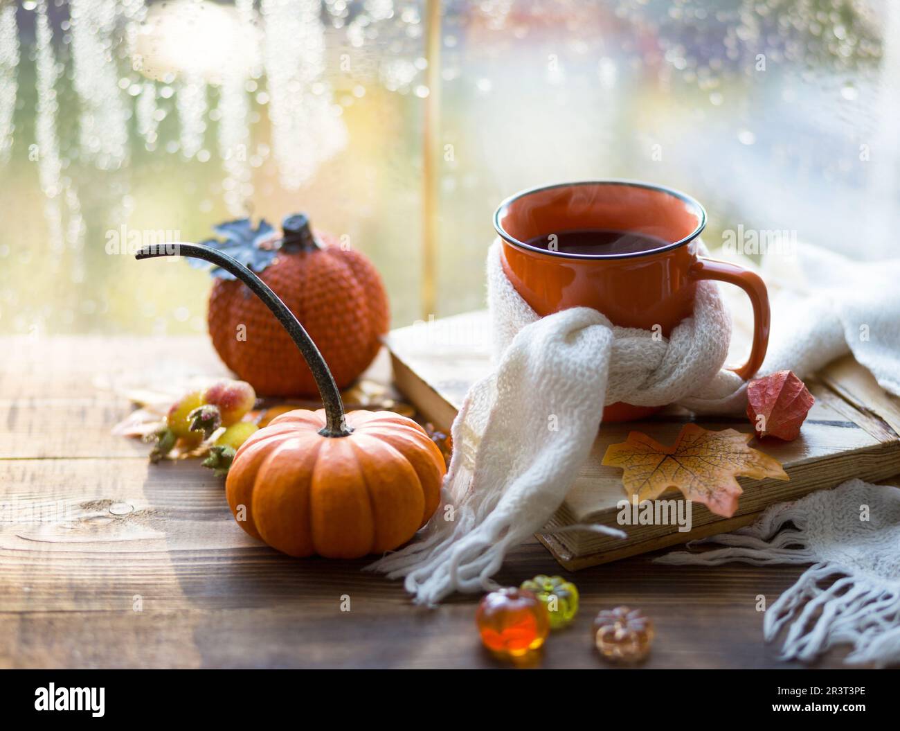 An orange mug in a scarf with hot tea, pumpkins, yellow dry maple leaves, a book on the windowsill, raindrops on the window - au Stock Photo