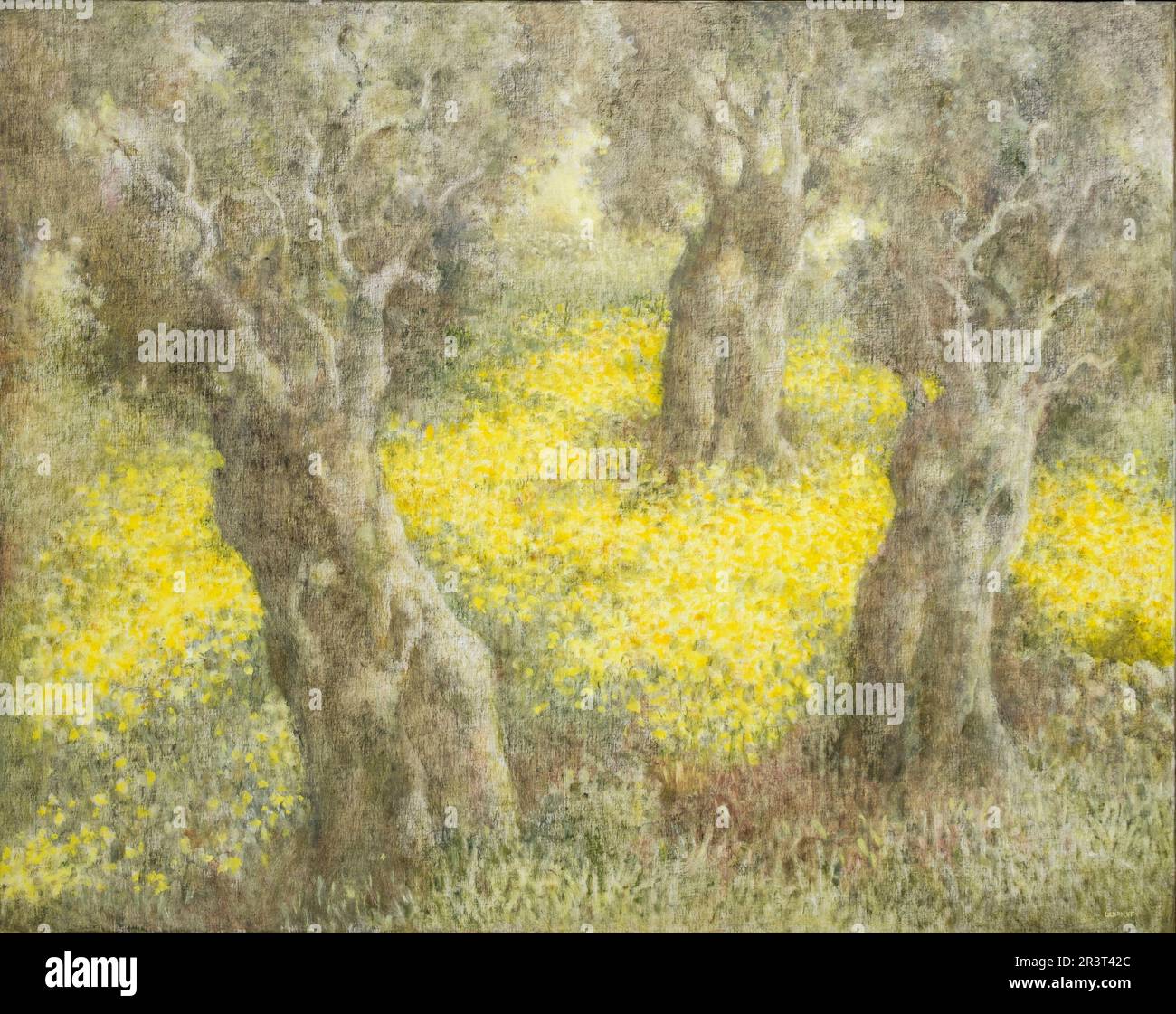 Paisaje con flores amarillas, Jhon Ulbritch, 1981, oleo sobre tela, Mallorca, balearic islands, Spain. Stock Photo